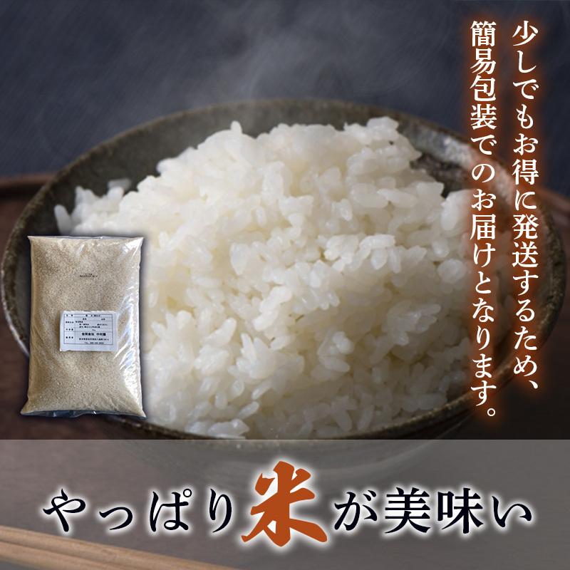 米 10kg 無洗米 森のくまさん 熊本産 最新年度産 特A評価 精米 うるち 白米 お米 ご飯 常温便