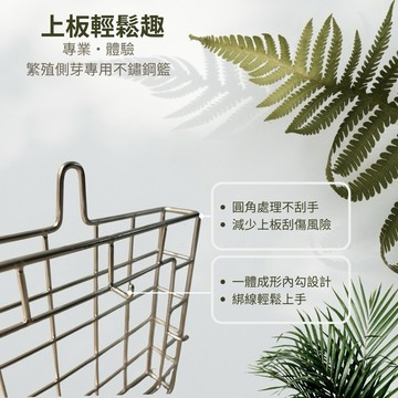 🚚園藝牆上裝飾木板、生殖籃，公司出貨附發票🏪 304鋼籃、木板、植床板、鹿角蕨鋼籃、蘭花掛籃、鋼籃、鹿角蕨板材、植床板