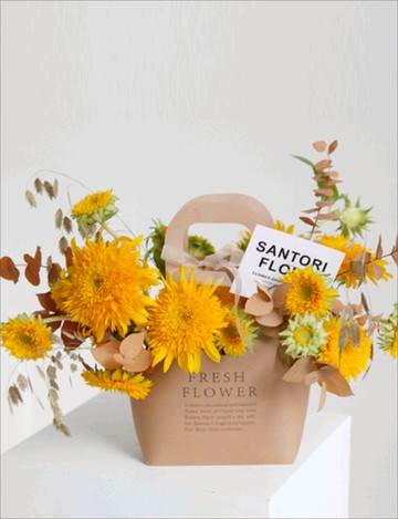 外景旅拍街拍拍照手提購物袋情侶手拿郁金香裝花紙袋婚紗攝影道具