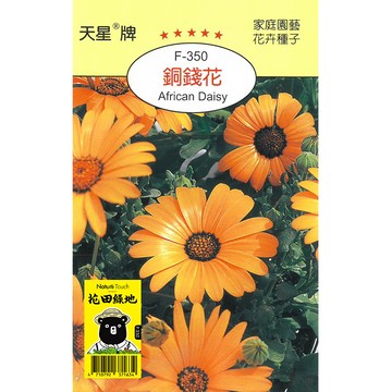 花田綠地種子 銅錢花