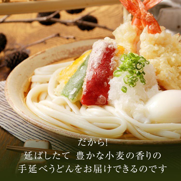 手延べざるうどん ざるで食べる為だけにつくりました！ 200g×1袋 乾麺 かも川 かも手の麺 かも手うどん ポイント消化 敬老の日 ギフト グルメ