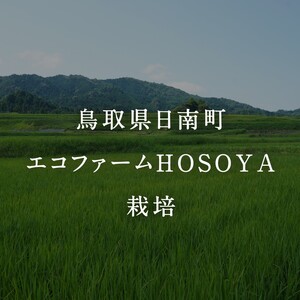 令和5年産 海と天地のめぐみ米（コシヒカリ） 白米5kg