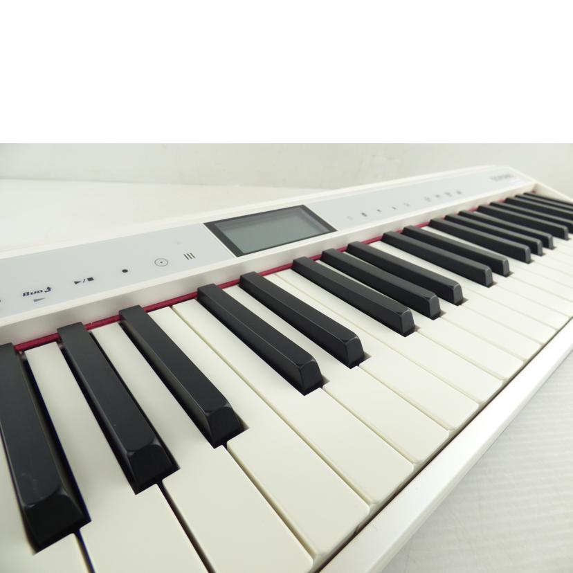 Roland ローランド 鍵盤楽器 GO-61P-A ABランク 64