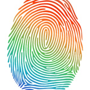 Pluralidades em Português Brasileiro