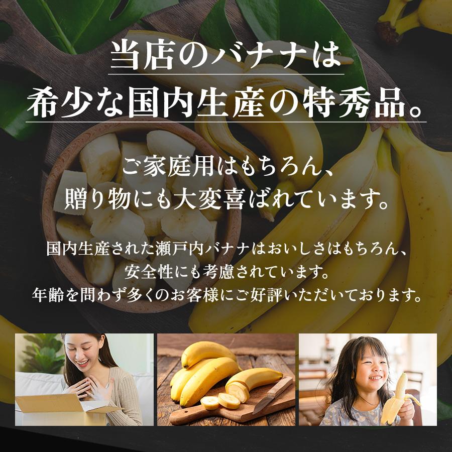 瀬戸内バナナ バナナ 無農薬 岡山県産 特秀 2-3本入り 国産 送料無料 産地直送 希少 御中元