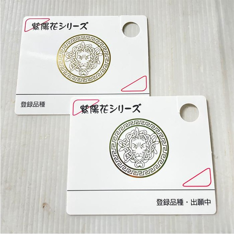 アジサイ 鏡花水月 9cmポット 登録品種 ハイドランジア 苗 花苗 アジサイ 鏡花水月 9cmポット 登録品種 ハイドランジア 苗 花苗