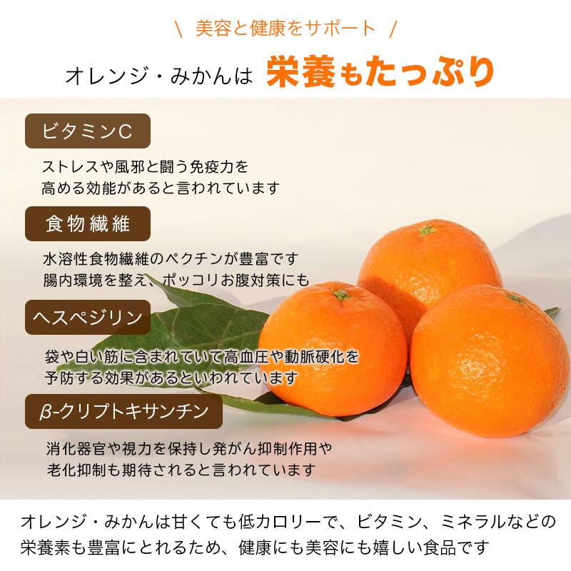 ドライフルーツ ドライオレンジ ドライみかん タイ産 300g 温州ミカン オレンジ ジューシーな甘みと酸味