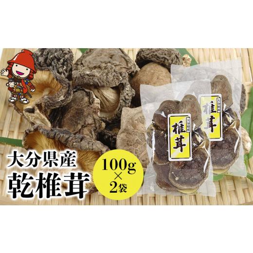 ふるさと納税 大分県 中津市 乾椎茸 100g 2袋 干し椎茸 原木栽培 乾しいたけ 乾燥椎茸 干ししいたけ 乾燥しいたけ 干しシイタケ 大分県産 九州産 中津市 国産 …