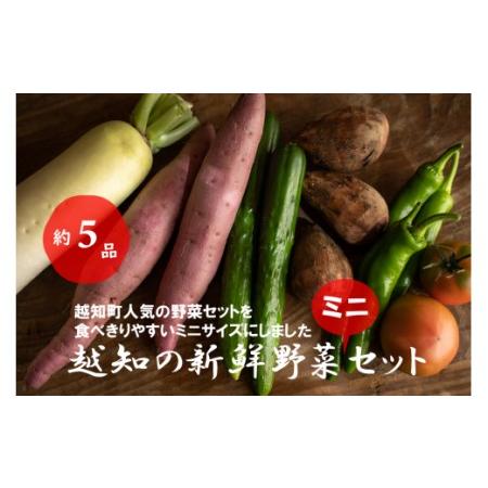 ふるさと納税 越知産市の季節の野菜ミニセット　産地直送　旬野菜 高知県越知町