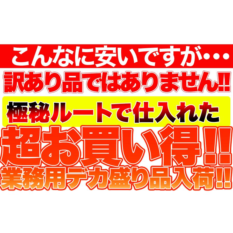 業務用 高級ドライマンゴーメガ盛り１ｋｇ≪常温≫