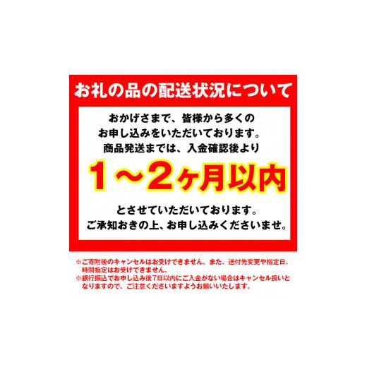 ふるさと納税 鹿児島県 日置市 No.203-A  旬の厳選！干物詰合せ(計24枚)