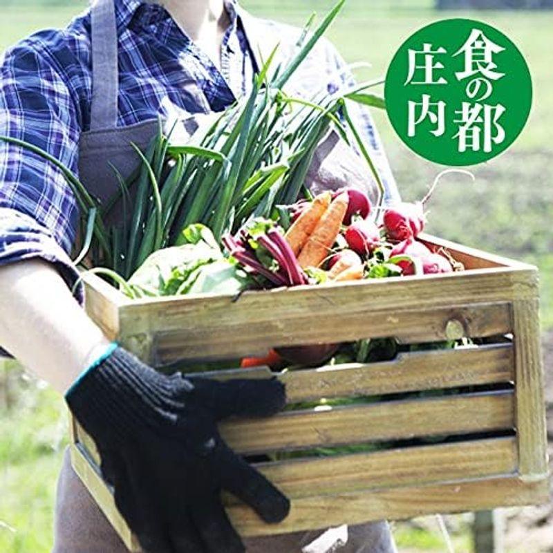 庄内 野菜セット 8品 おまかせ 山形県庄内産 野菜詰め合わせ