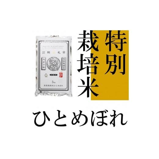 ふるさと納税 岩手県 奥州市 江刺金札米ひとめぼれパック米 5kg　令和5年産 新米 特別栽培米