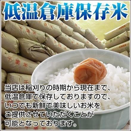 新米 米 5kg お試し 玄米 令和5年 千葉県産 コシヒカリ お米 送料無料  ※地域によりまして別途送料が発生致します。