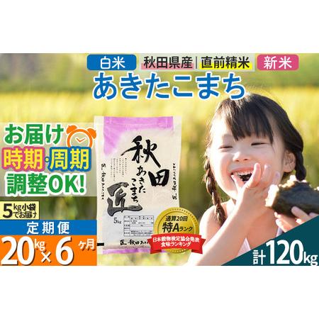 ふるさと納税 ＜新米＞ 《定期便6ヶ月》秋田県産 あきたこまち 20kg (5kg×4袋)×6回 令和5年産 時期選べる20キロ お米 秋田県仙北市