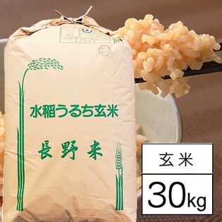 令和5年産 特別栽培米 長野県南信州産 コシヒカリ 1等玄米