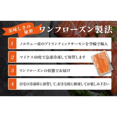 ふるさと納税 北国からの贈り物 豪華 サーモン 定期便 全3回 総量 3kg以上   大阪府泉佐野市