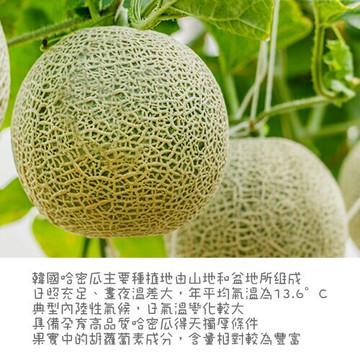 韓國精選哈蜜瓜禮盒2入/盒【愛買冷藏】