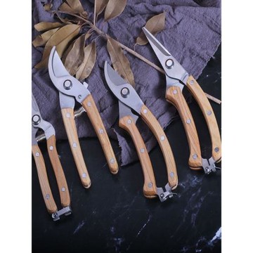 進口不銹鋼果樹修枝剪園藝修花剪花枝花藝剪強力水果專用剪葡萄剪