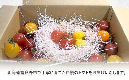 北海道 富良野市産 完熟ミニトマト（甘っこ）約2kg カラートマト・ぷちぷよ付 トマト 甘い 野菜 新鮮 数量限定 先着順