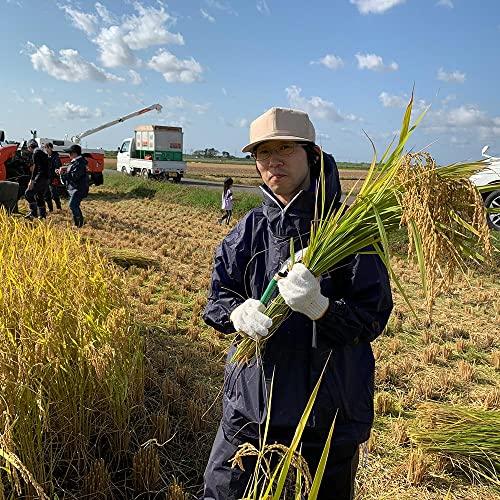 水菜土農園新米 令和5年産 秋田県産 あきたこまち 20kg (5kg×4袋) 古代米お試し袋付き