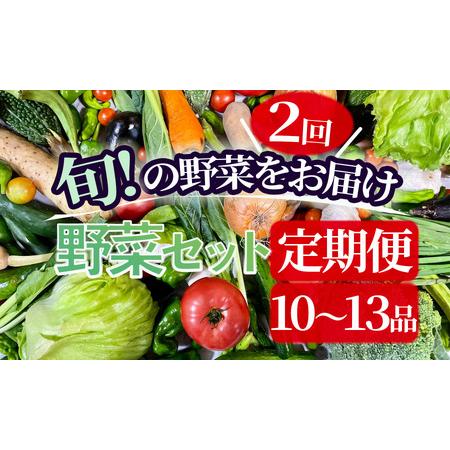 ふるさと納税 湯の花　旬の野菜セット２か月間の定期便 静岡県南伊豆町