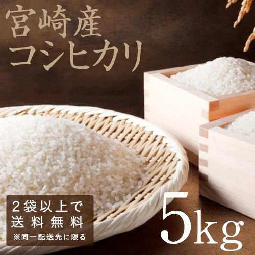 米 こしひかり 5kg 新米 令和4年産 宮崎県産 九州 お米 精白米 コシヒカリ 白米 送料無料