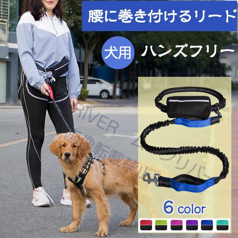 感謝価格】 ドギーマン お散歩リード マルチカラー 超大型犬用 19mm