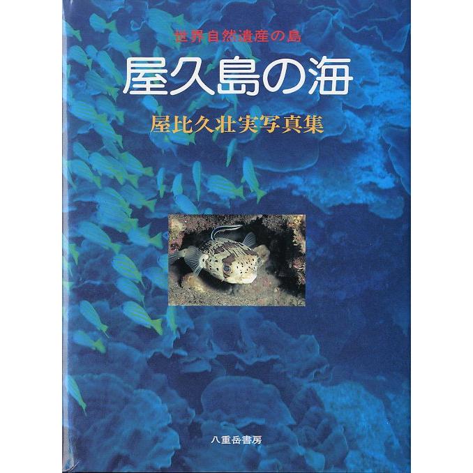 世界自然遺産の島　屋久島の海　＜送料込＞