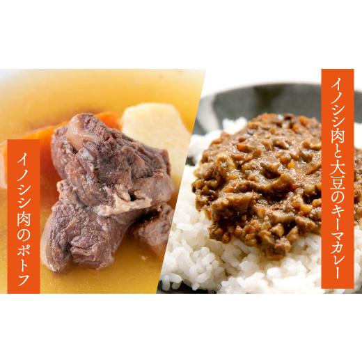 ふるさと納税 島根県 美郷町 イノシシ肉の缶詰 11缶セット【スパイス煮 200g×2 黒ビール煮 200g×2 ポトフ 200g×2 キーマカレー 90g×5 肉 イノシシ肉 天然 …