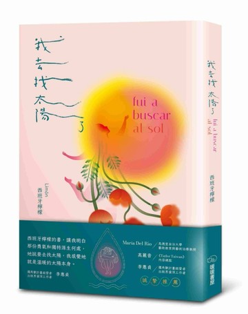 我去找太陽了[二手書_良好]