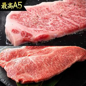 肉汁したたる 極上 サーロインステーキ 4枚 (合計1kg) 博多和牛A5ランク