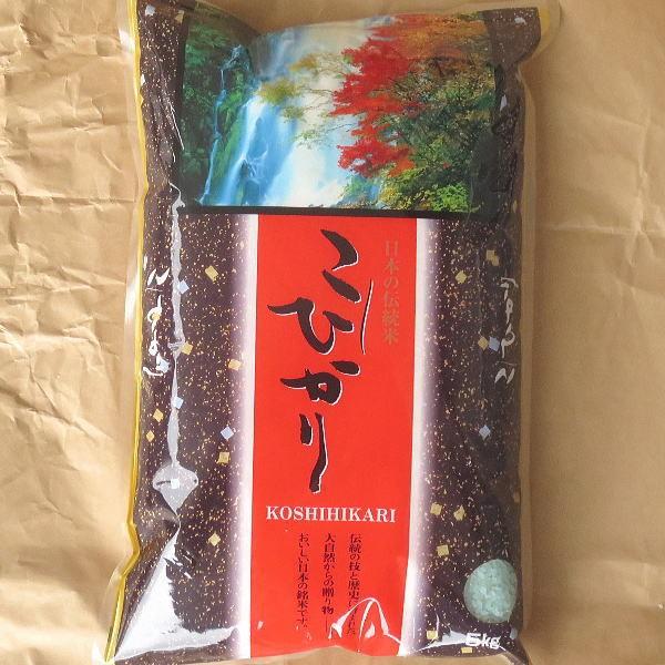 お米 5kg コシヒカリ 白米 山形県 庄内 5kg×1袋 5年度産 新米