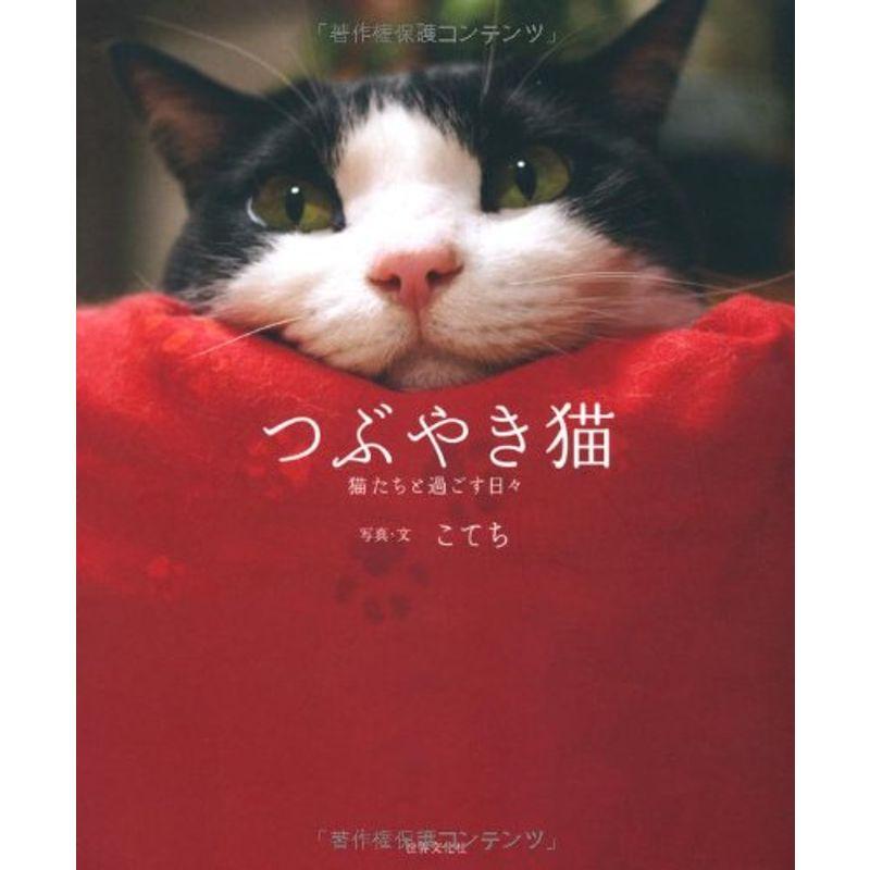 つぶやき猫 猫たちと過ごす日々