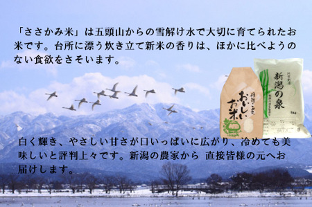  旧笹神村産 コシヒカリ 2kg×5回 合計10kg 白米 上泉 農家直送 コメドック 金賞 1Q12025