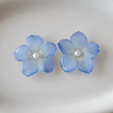 藍眼菊 乾燥花 耳針 耳夾