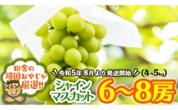 シャインマスカットはこれだっぺセット6～8房入り田舎の頑固おやじが厳選！ 茨城県 県産 つくばみらい市 人気 厳選 果物 くだもの 旬 旬の果物 旬のフルーツ シャインマスカット マスカット ぶどう ブドウ 冷蔵 送料無料 [BI239-NT]