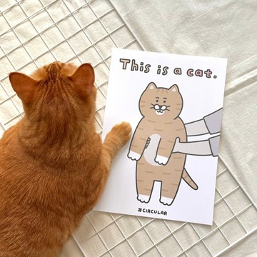 可愛A4海報-水彩紙