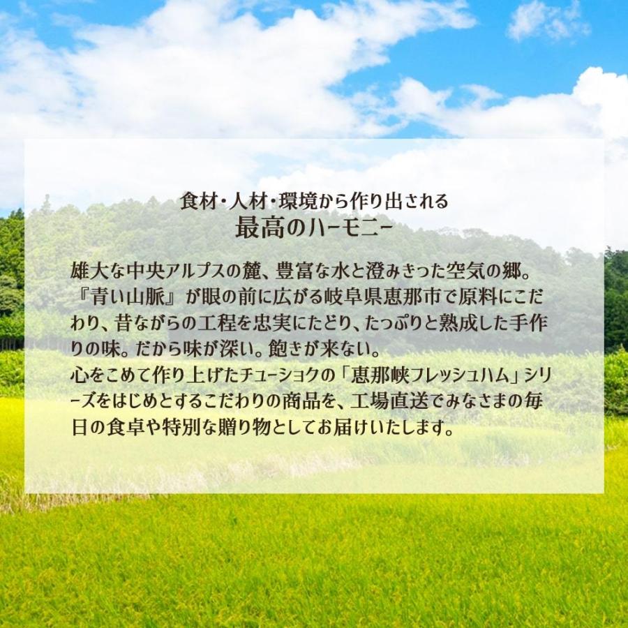 岐阜特産 岐阜のドライソーセージ３種 4袋セット(飛騨牛入×2・飛騨なっとく豚×1・奥美濃古地鶏×1)  ブランド 和牛 飛騨牛 納豆喰豚 なっとくとん ギフト   