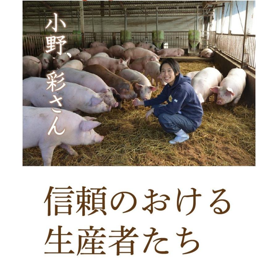 ギフト 宮崎県産きじょん山豚 しゃぶしゃぶ用 肩ロース 1,000g 5人前  ギフト対応可 送料無料 グルメ Y凍