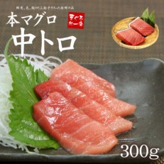 本マグロ中トロ　約300g　解凍レシピ付き　1サクずつ真空包装