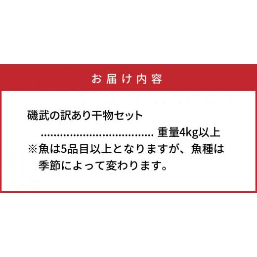 ふるさと納税 大分県 国東市 大漁4kg!磯武さんの訳あり干物_1021R