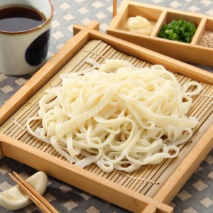 送料無料 乳酸菌入りうどんセット〔麺300g×10パック〕