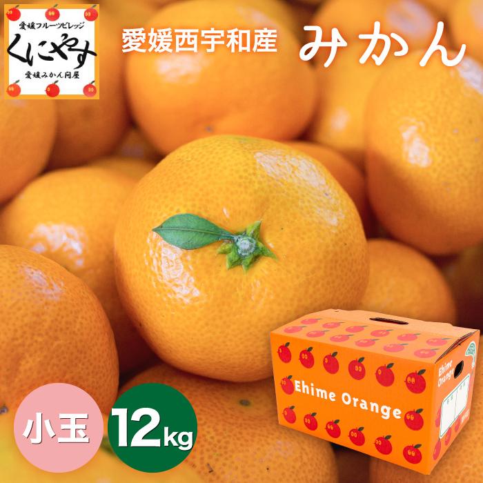 「小玉みかん12」味センサー合格品愛媛西宇和産小玉みかん3kg×4箱 2S-S玉