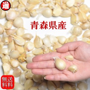 (産直) にんにく 超小粒・小粒・皮ハゲあり 500g 送料無料 約120粒 送料無料 青森県産にんにく メール便 青森にんにく ニンニク ポイント