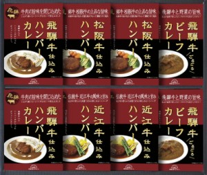 飛騨高山ファクトリー 松阪牛・近江牛・飛騨牛仕込みハンバーグカレー詰合せ C