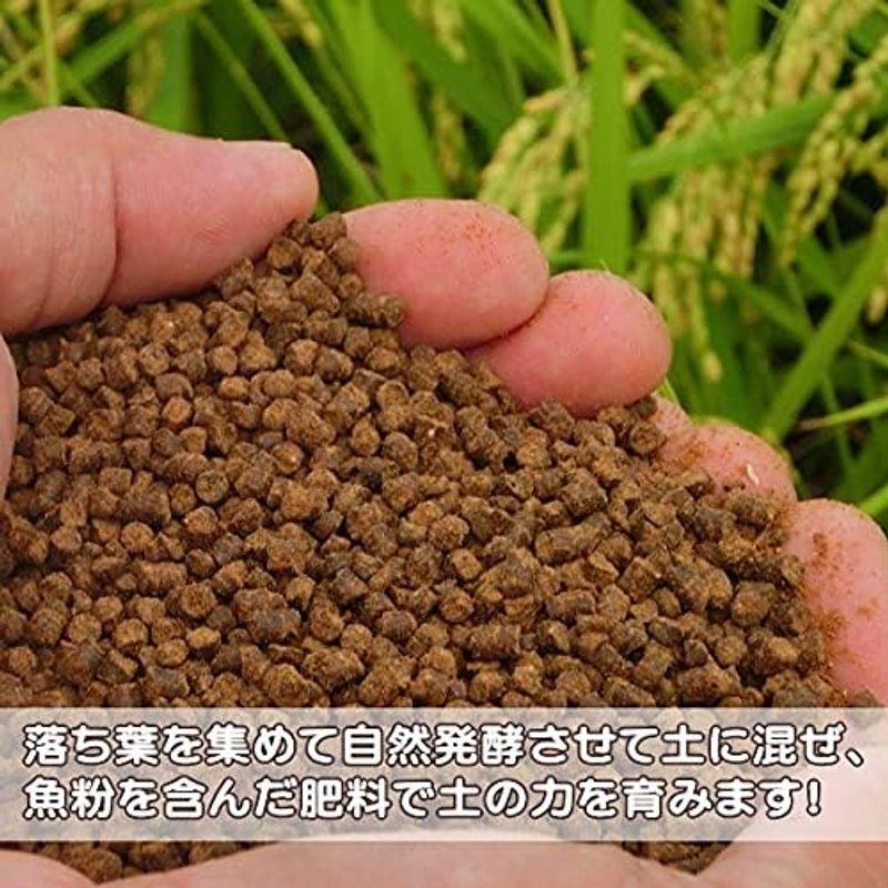 無洗米高橋ファームさんの 新潟産コシヒカリ 3kg