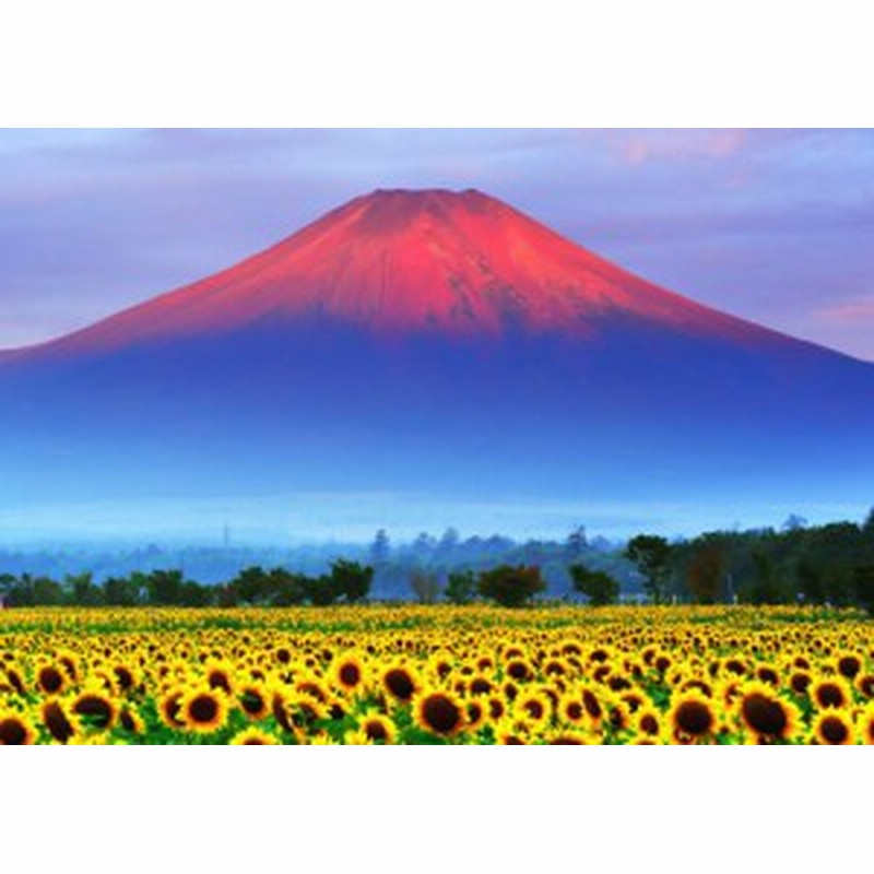 絵画風 壁紙ポスター 赤富士 朝焼けの富士山と向日葵畑 ひまわり 幸運 開運 縁起物 風水 キャラクロ Fjs 033a2 版 594mm 4mm 通販 Lineポイント最大1 0 Get Lineショッピング