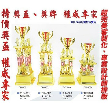 獎盃 獎牌 客製化 訂製各式比賽獎盃皆可承製喔 量多有優惠【大自在運動休閒精品店】