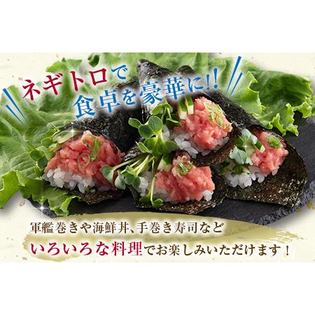 ふるさと納税 数量限定 訳あり 人気 ネギトロ 計1kg 魚 魚介 マグロ 国産 おかず まぐろ ねぎとろ アウトレット 送料無料_BB101-23 宮崎県日南市